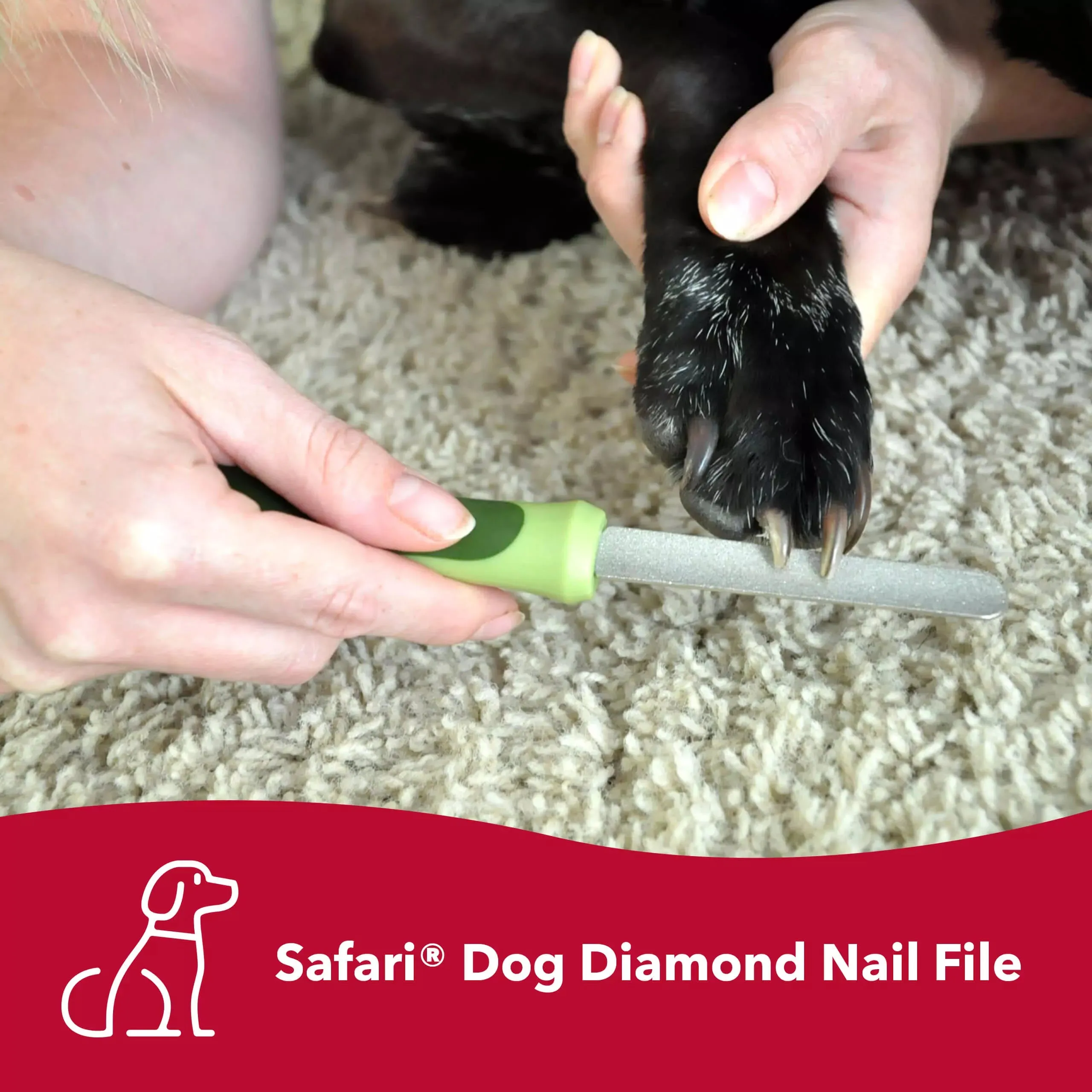 Safari Diamond Dog Nail File