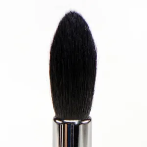 The World's Most Perfect Pointed Blush/Powder/Glow Perfection Brush